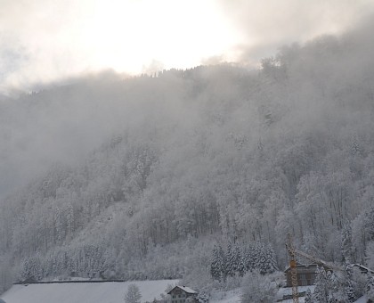 dsc_0055.jpg